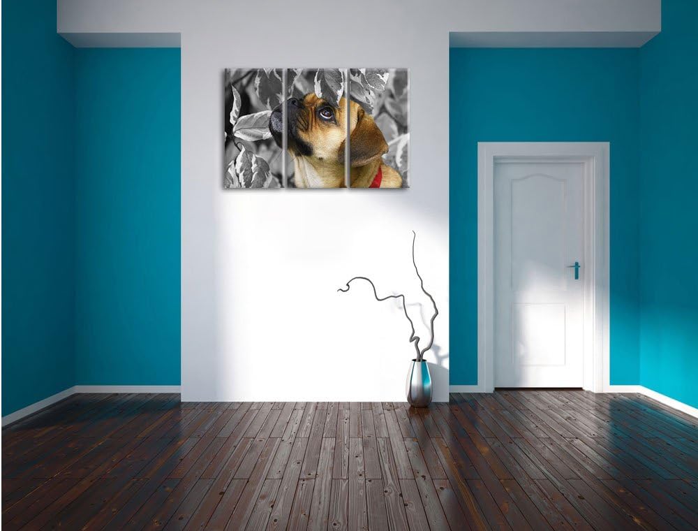 Pixxprint zwischen Blättern Mops als Leinwandbild/Grösse: 3 Teilig (120x80) cm/Wandbild/Kunstdruck/f