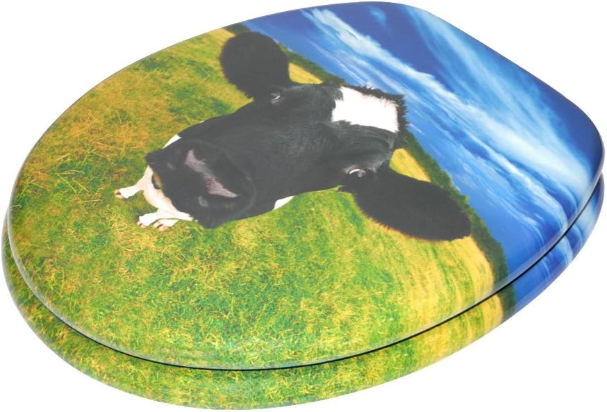 Sanilo WC Sitz, viele schöne Toilettendeckel zur Auswahl, hochwertige und stabile Qualität aus Holz