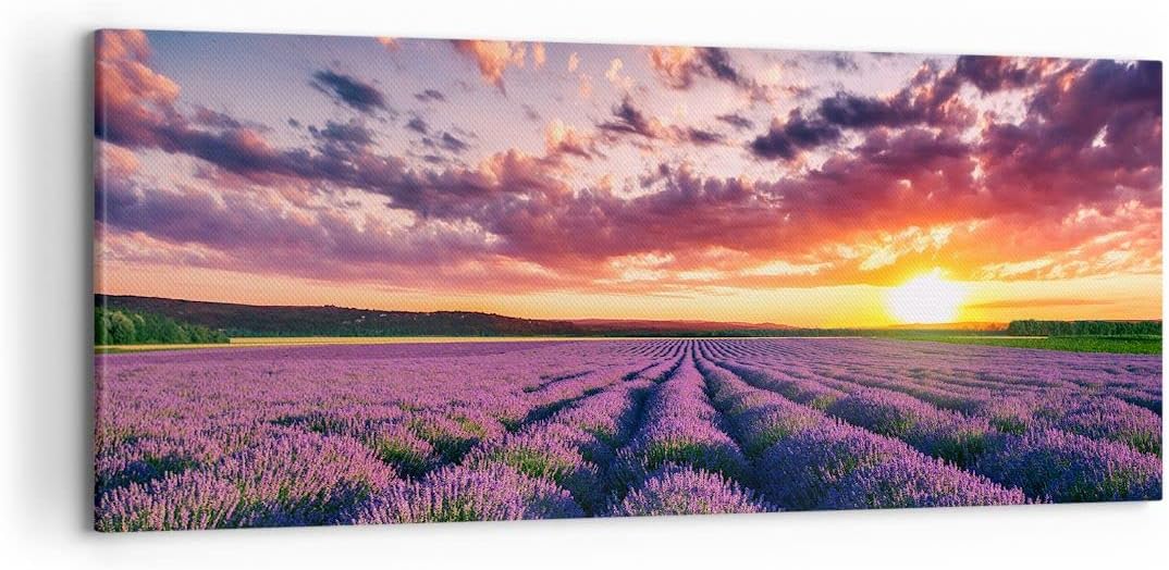 Wandbilder Dekoration Wohnzimmer Lavendel Berge Feld Panorama Bilder auf Leinwand 120x50cm Leinwandb