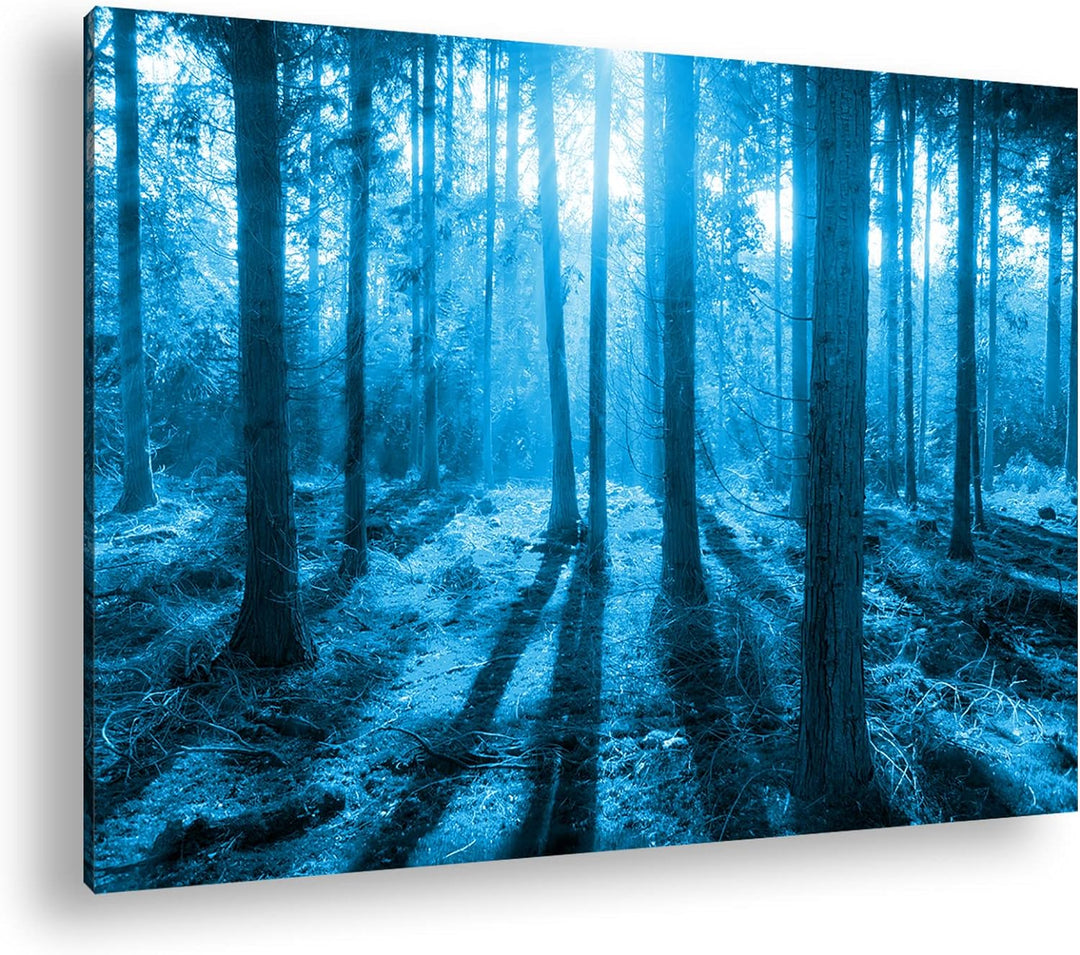 deyoli Moos bedeckter Wald Format: 80x60 Effekt: Monocrome Blau als Leinwand, Motiv fertig gerahmt a