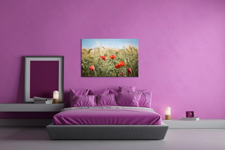 deyoli zarte Mohnblumen im Getreidefeld Format: 60x40 als Leinwand, Motiv fertig gerahmt auf Echthol