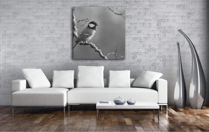 deyoli süsser Kleiner Vogel Format: 60x60 Effekt: Schwarz&Weiss als Leinwandbild, Motiv fertig gerah