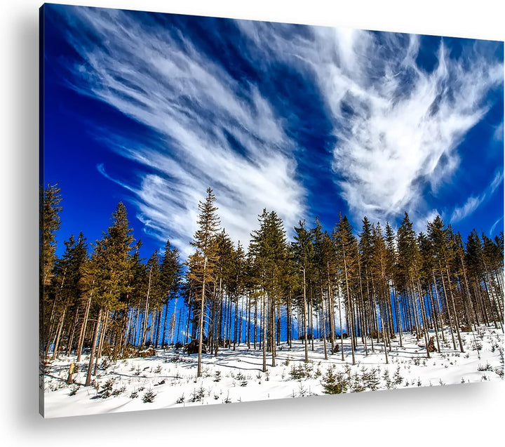 deyoli verschneiter Nadelwald Format: 80x60 als Leinwand, Motiv fertig gerahmt auf Echtholzrahmen, H