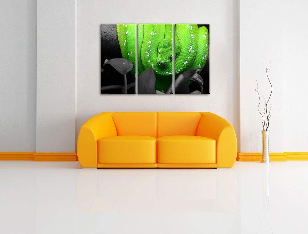 Giftige Grüne Schlange schwarz/weiss 3-Teiler Leinwandbild 120x80 Bild auf Leinwand, XXL riesige Bil
