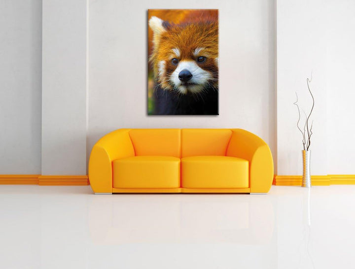 Roter Pandabär auf Ast, Format: 100x70 auf Leinwand, XXL riesige Bilder fertig gerahmt mit Keilrahme