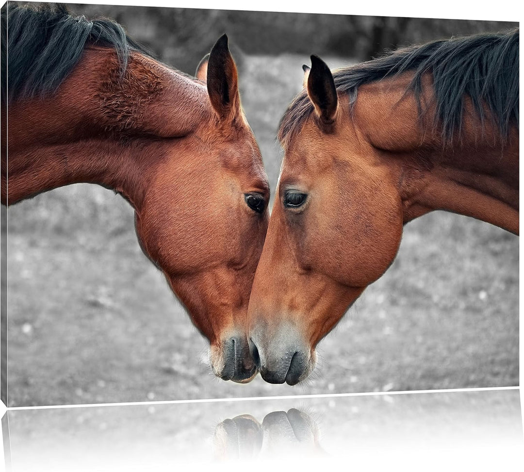 Pixxprint Zwei schmusende Pferde als Leinwandbild/Grösse: 100x70 / Wandbild/Kunstdruck/fertig bespan