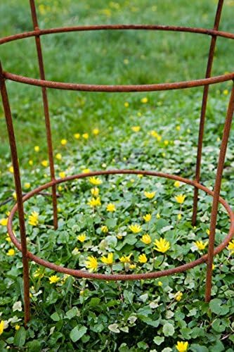 KUHEIGA Stabiler Staudenhalter Rost H: 80cm, Volleisen Strauchhalter, Rankgerüst,