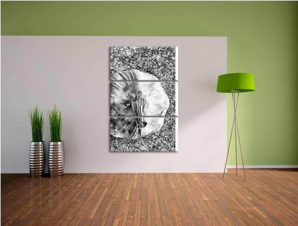Pixxprint Zwei Knoblauchknollen als Leinwandbild/Grösse: 3 Teilig (120x80) cm/Wandbild/Kunstdruck/fe