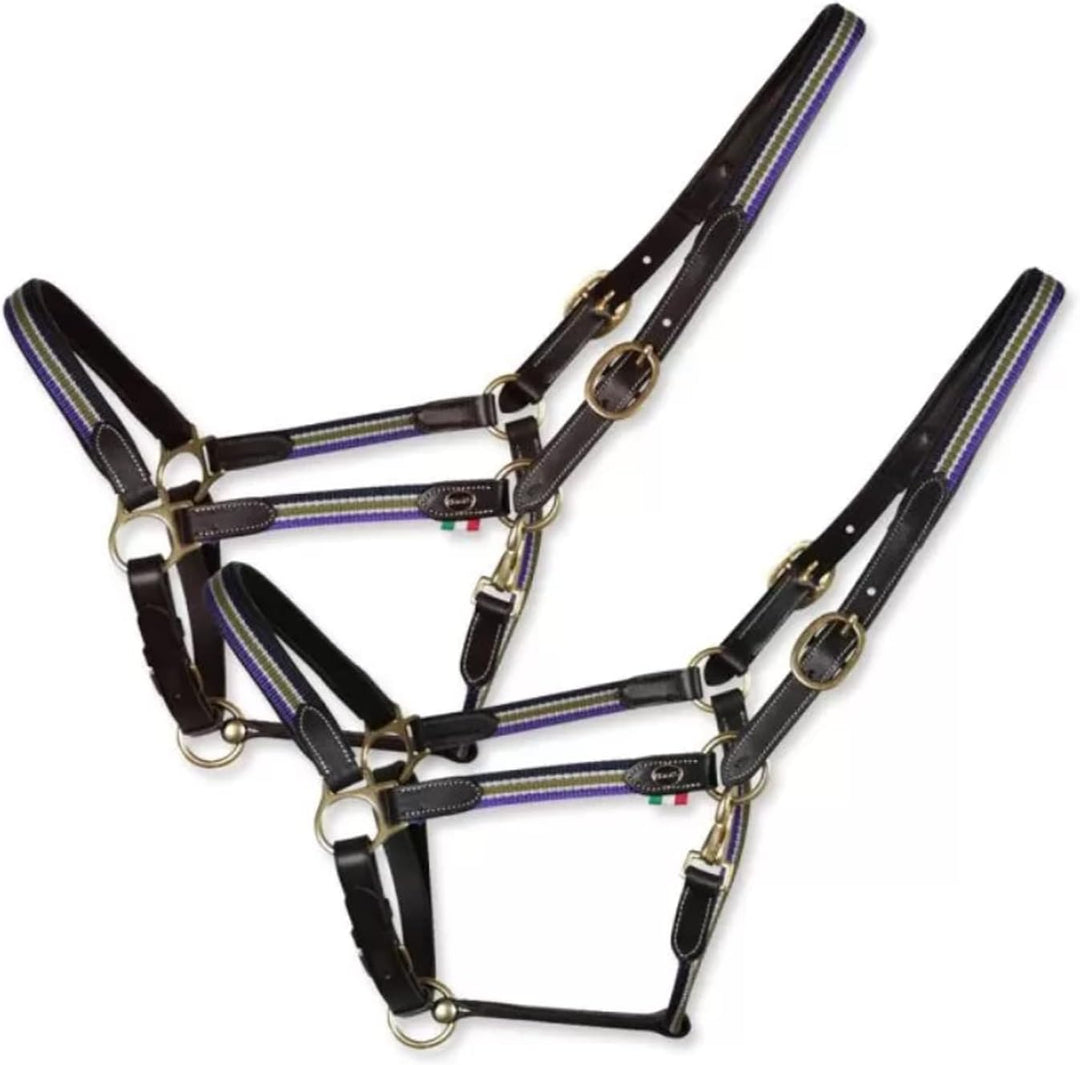 Horses, Lederhalfter Sorrento, Komfortables Halfter zum Führen des Pferdes an der Hand oder zum Sich