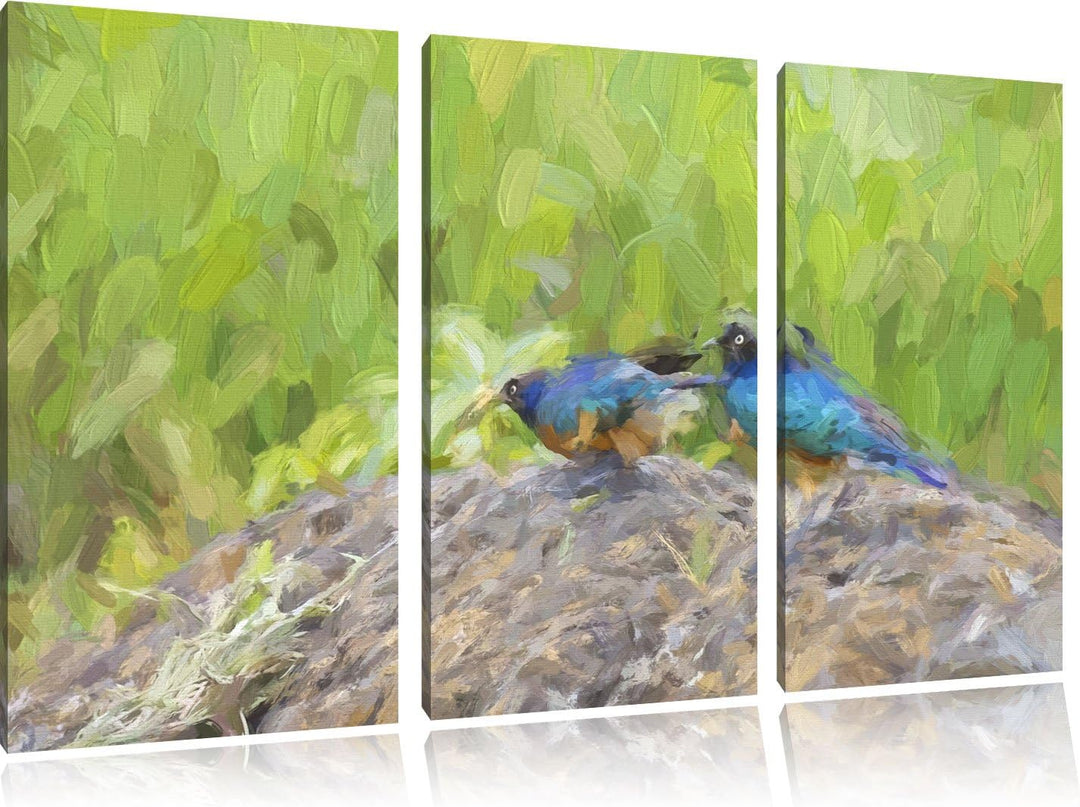 farbenfrohe Dreifarben-Glanzstare auf einem Stein NewArt 3-Teiler Leinwandbild 120x80 Bild auf Leinw