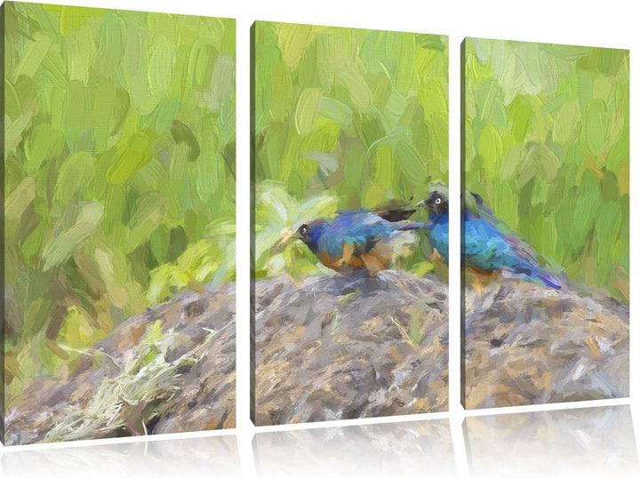 farbenfrohe Dreifarben-Glanzstare auf einem Stein NewArt 3-Teiler Leinwandbild 120x80 Bild auf Leinw