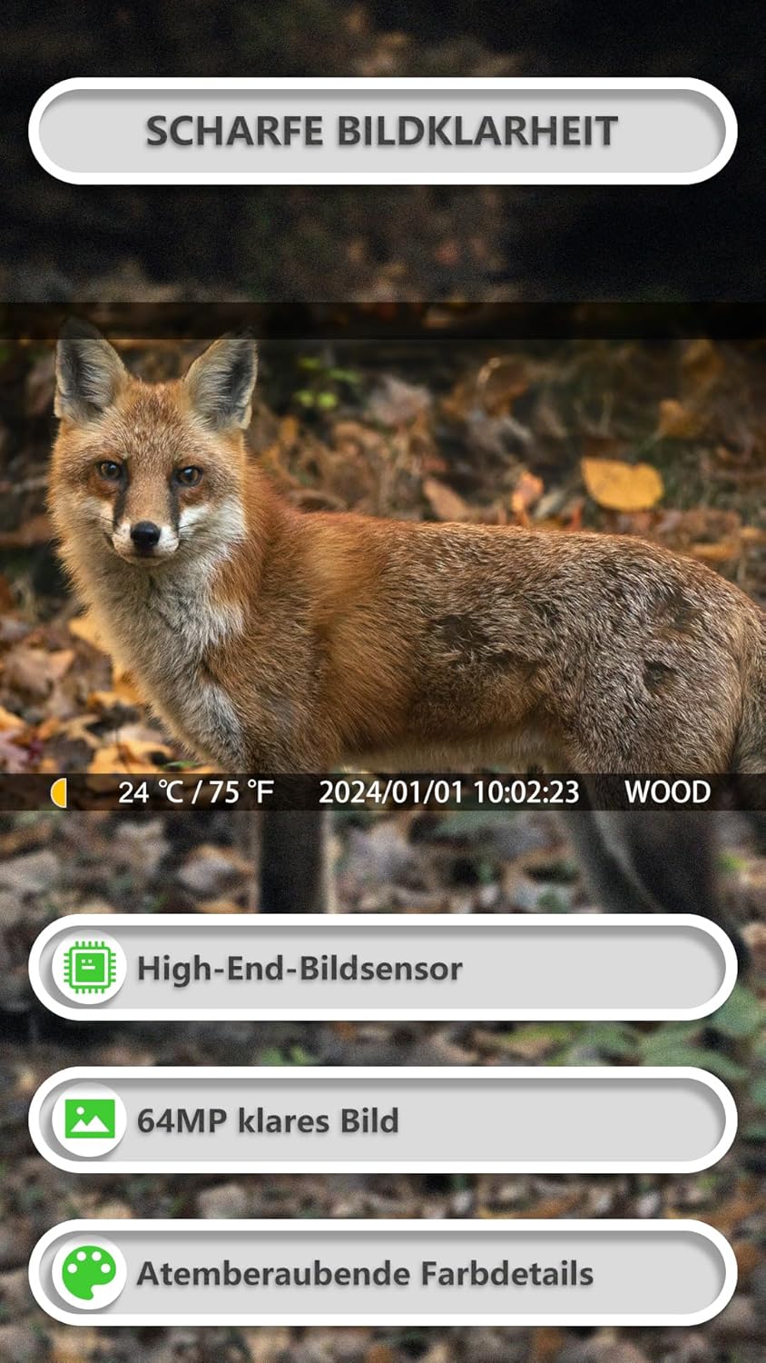 GardePro E8P Max Wildkamera WLAN, Wiederaufladbare 8000mAh Batterie, integrierte SD Karte, 64MP 1296