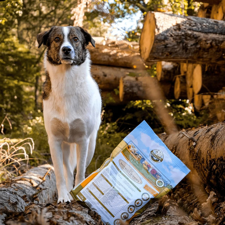Bellfor Naturgut-Schmaus Hochwertiges Kaltgepresstes Hypoallergenes Trockenfutter für Hunde mit Inse