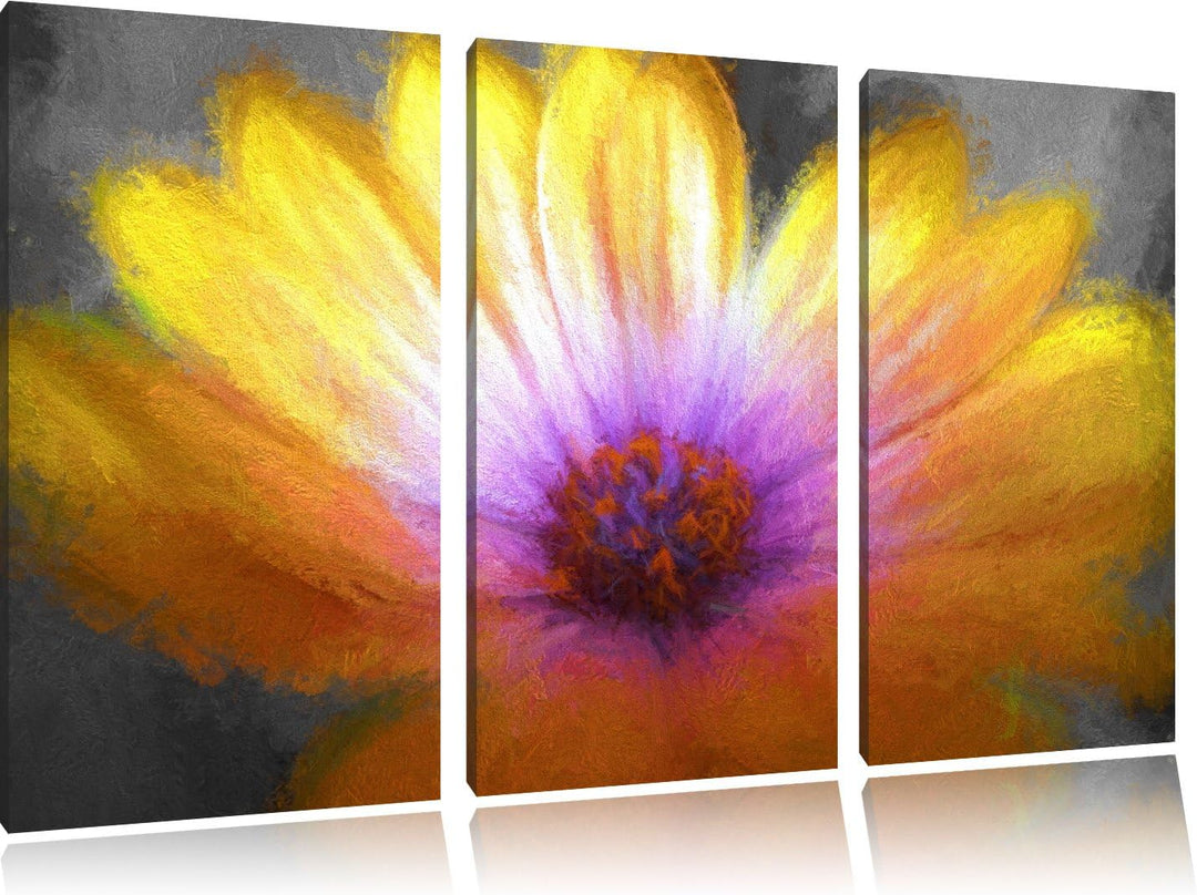 aussergewöhnliche Blume schwarz/weiss Deluxe 3-Teiler Leinwandbild 120x80 Bild auf Leinwand, XXL rie