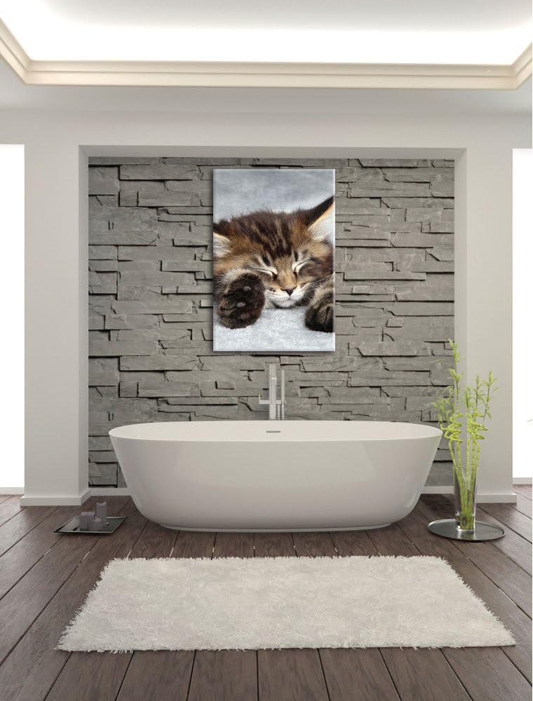 Süsse Baby Katze, Format: 100x70 auf Leinwand, XXL riesige Bilder fertig gerahmt mit Keilrahmen, Kun