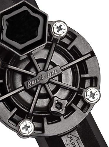 Elektroventil 100-HV 24 V, 2,54cm Rain Bird (Packung mit 5 Stück)