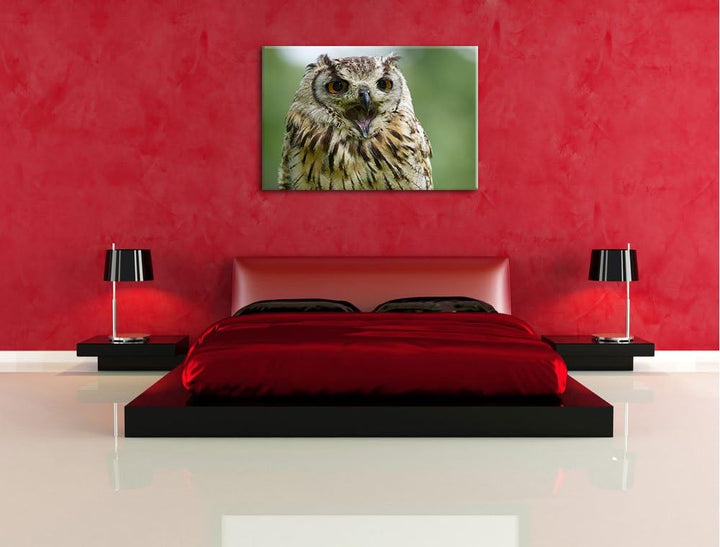 grosse Waldeule gähnt Leinwand, XXL riesige Bilder fertig gerahmt mit Keilrahmen, Kunstdruck auf Wan