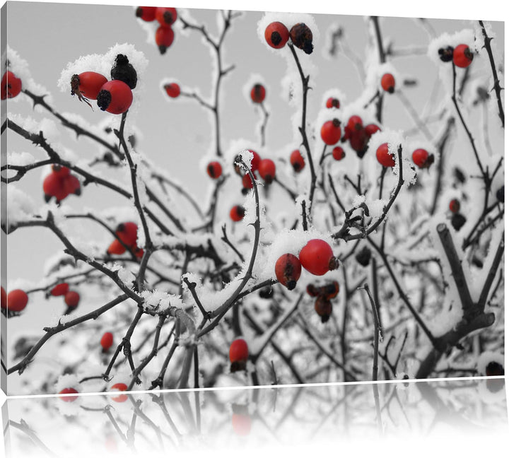 Hagebuttenstrauch schwarz-weiss schwarz/weiss Format: 100x70 auf Leinwand, XXL riesige Bilder fertig