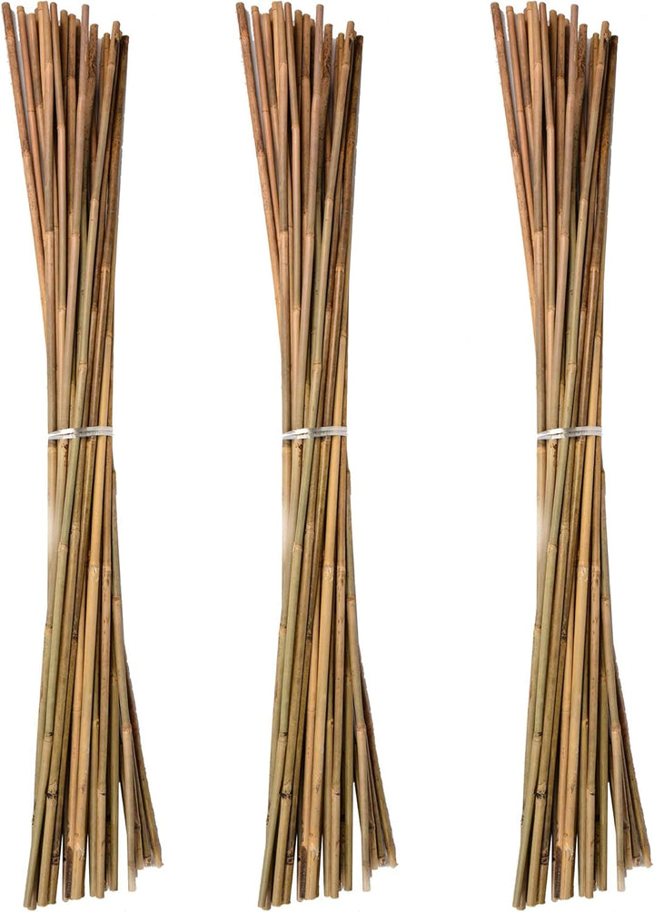 UNUS Bambusstäbe, Pflanzenstäbe zur Stabilisierung von Pflanzen im Garten, Rankstäbe Bambus 120 cm n