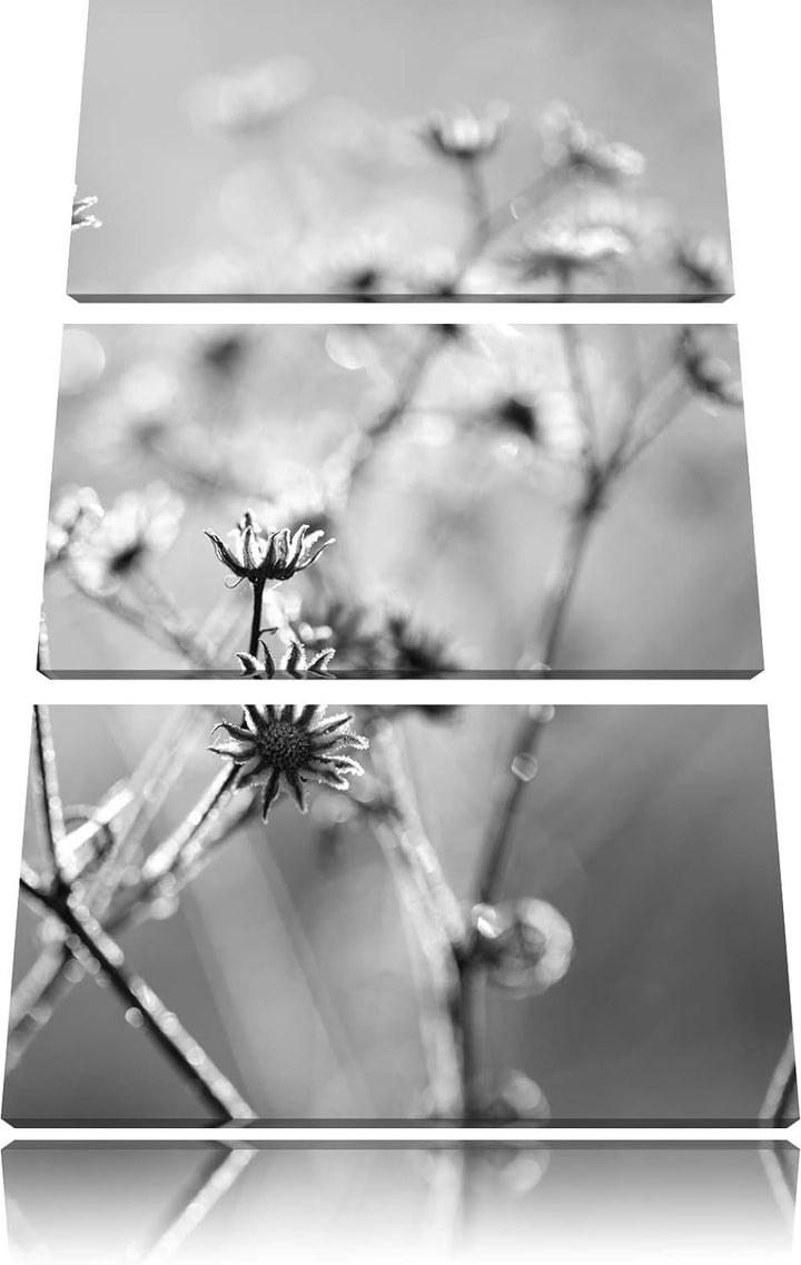 Gefrorene Blumen schwarz/weiss 3-Teiler Leinwandbild 120x80 Bild auf Leinwand, XXL riesige Bilder fe
