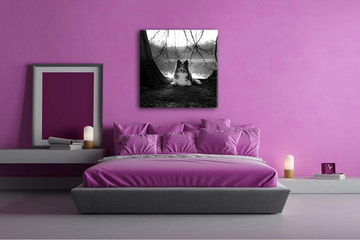 deyoli Niedlicher Hund beim Sonnenuntergang Format: 60x60 Effekt: Schwarz&Weiss als Leinwandbild, Mo