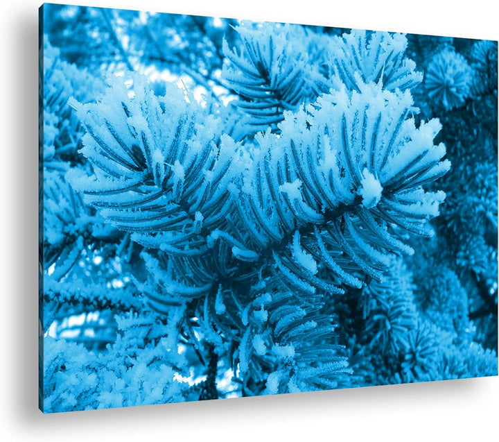deyoli Schnee bedeckter Nadelbaum Format 80x60 Effekt: Monocrome Blau als Leinwandbild, Motiv fertig