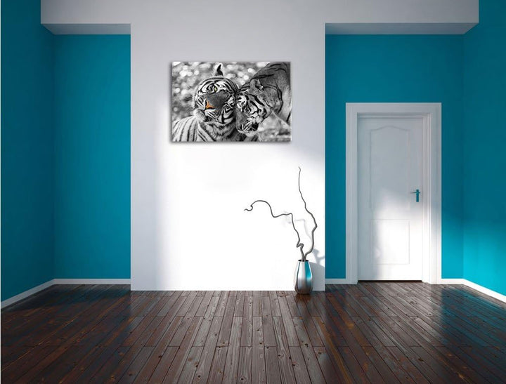 Pixxprint Zwei liebkosende Tiger B&W Detail, Format: 100x70 auf Leinwand, 100x70
