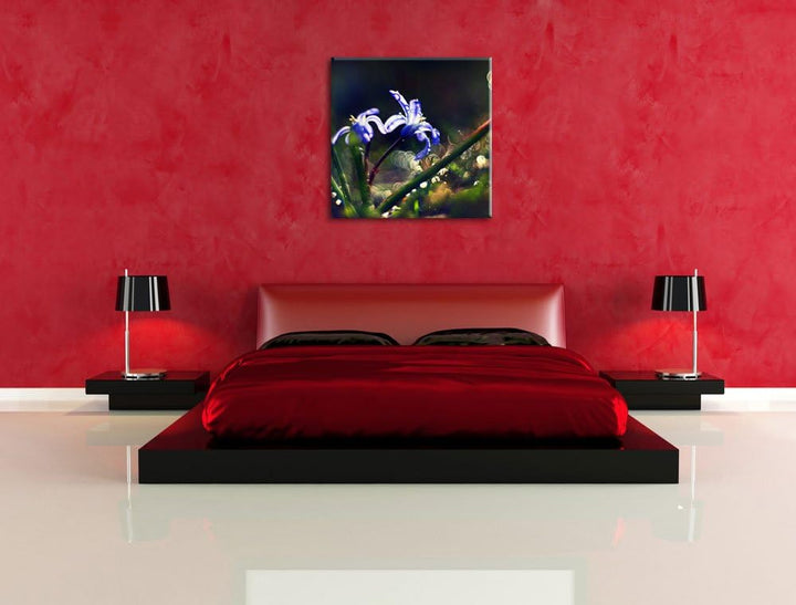 Pixxprint Zarte Lila Wiesenblumen im Morgentau, Format: 70x70 auf Leinwand, 70x70