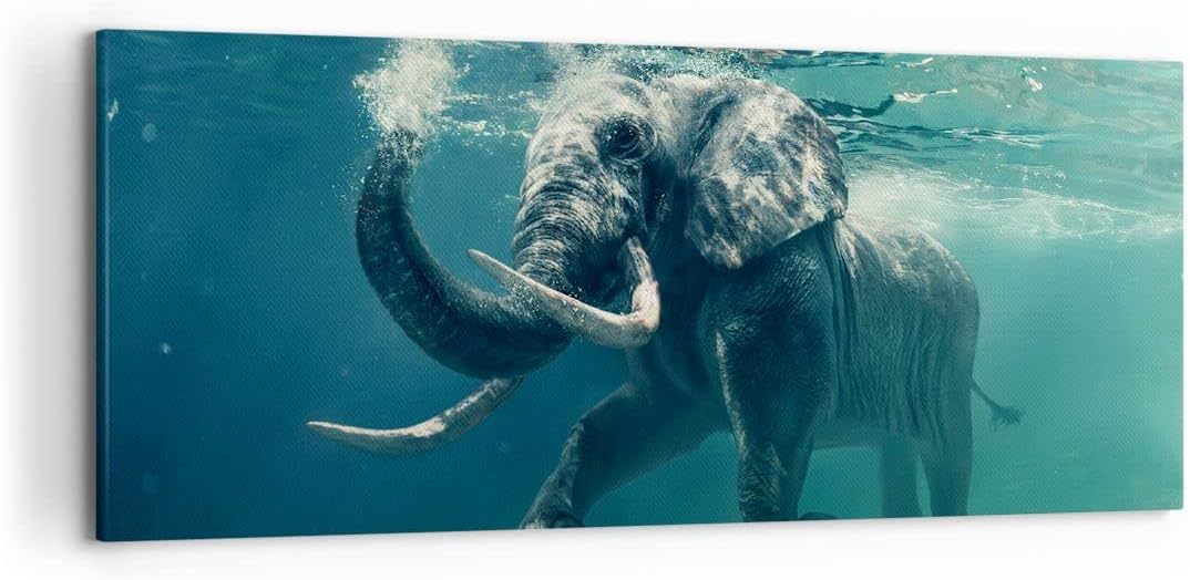 Wandbilder Dekoration Wohnzimmer Elefant Tier Wasser Panorama Bilder auf Leinwand 120x50cm Leinwandb