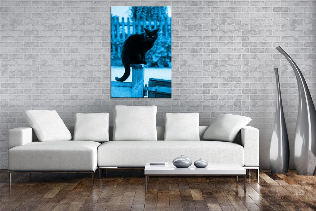 deyoli thronende Schwarze Katze Format 100x70 Effekt: Monocrome Blau als Leinwandbild, Motiv fertig