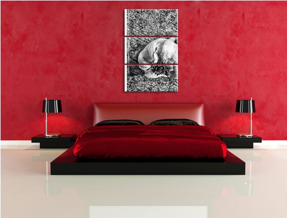 Pixxprint Zwei Knoblauchknollen als Leinwandbild/Grösse: 3 Teilig (120x80) cm/Wandbild/Kunstdruck/fe
