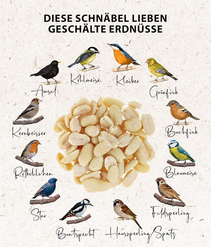 Dehner Natura Wildvogelfutter, halbe/ganze Erdnüsse, 20 kg halbe/ganze Erdnüsse 20 kg (1er Pack), ha