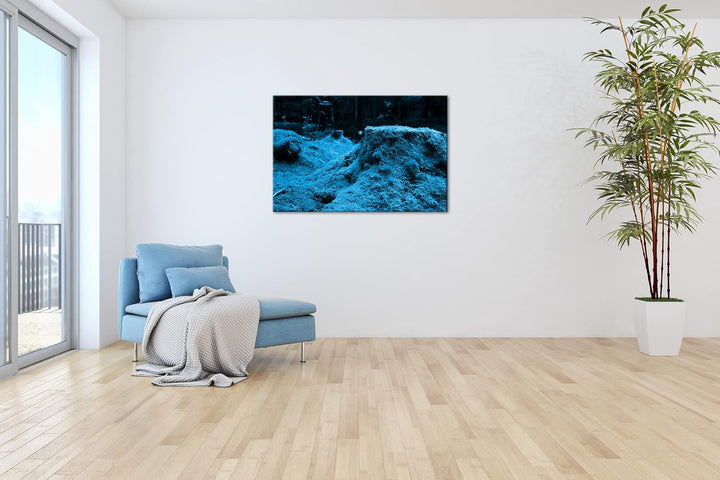 deyoli Moos bedeckter Waldboden Format 100x70 Effekt: Monocrome Blau als Leinwandbild, Motiv fertig