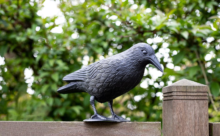 Brandsseller Schwarzer Rabe aus Kunststoff 36 x 20 cm Taubenabwehr Vogelschreck gegen kleine Vögel u