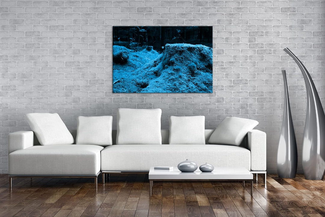 deyoli Moos bedeckter Waldboden Format 100x70 Effekt: Monocrome Blau als Leinwandbild, Motiv fertig