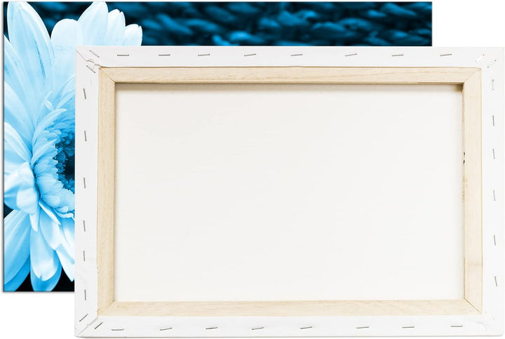 deyoli Weisse Gerbera Format: 100x70 Effekt: Monocrome Blau als Leinwandbild, Motiv fertig gerahmt a