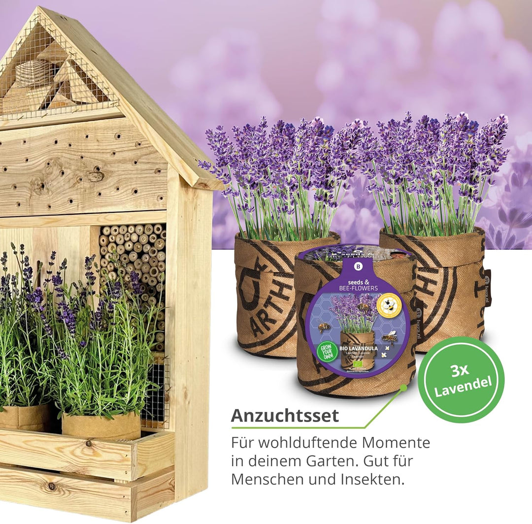 GARTENETAGE Insektenhotel zum Aufhängen mit Pflanzenbalkon Lavendel - inkl. Anzuchtset/Naturbelassen