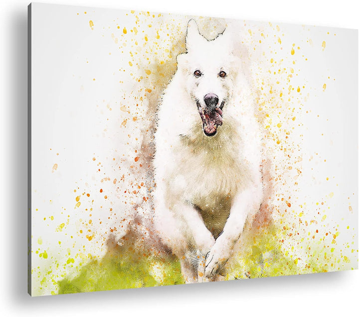 deyoli spielender Hund Format: 100x70 als Leinwandbild, Motiv fertig gerahmt auf Echtholzrahmen, Hoc