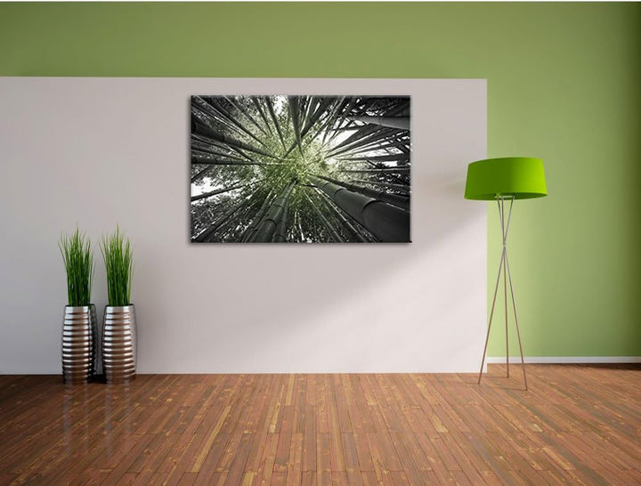 Grüner Bambus B&W Detail, Format: 100x70 auf Leinwand, XXL riesige Bilder fertig gerahmt mit Keilrah