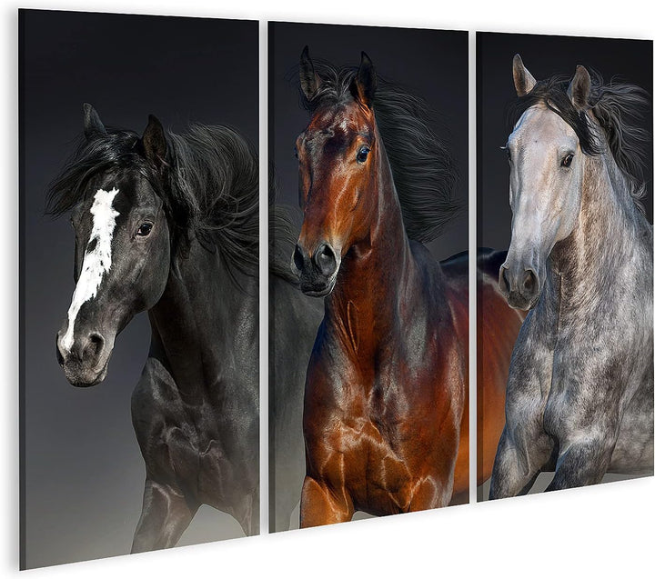 islandburner Bild auf Leinwand DREI Pferde Porträt Für Kinderzimmer Pop Bilder Wandbilder Poster Lei