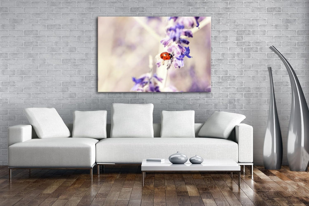 deyoli süsser Marienkäfer auf einem Lavendelzweig Format: 80x60 als Leinwandbild, Motiv fertig gerah