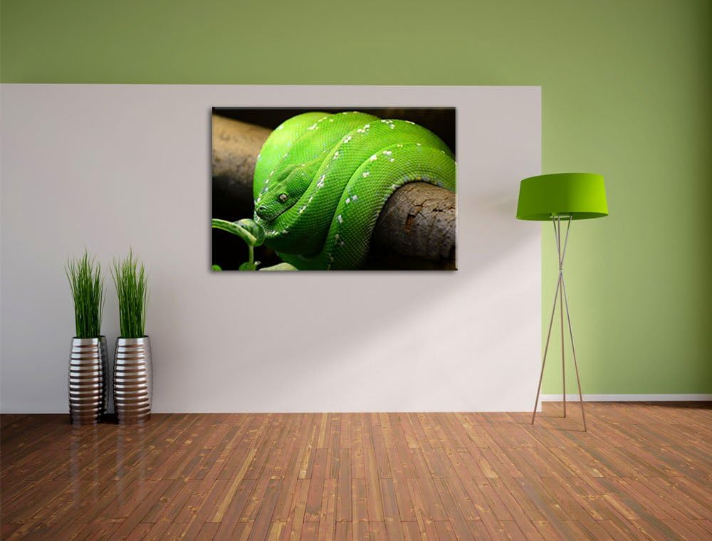 Grüne exotische Schlange, Format: 100x70 auf Leinwand, XXL riesige Bilder fertig gerahmt mit Keilrah
