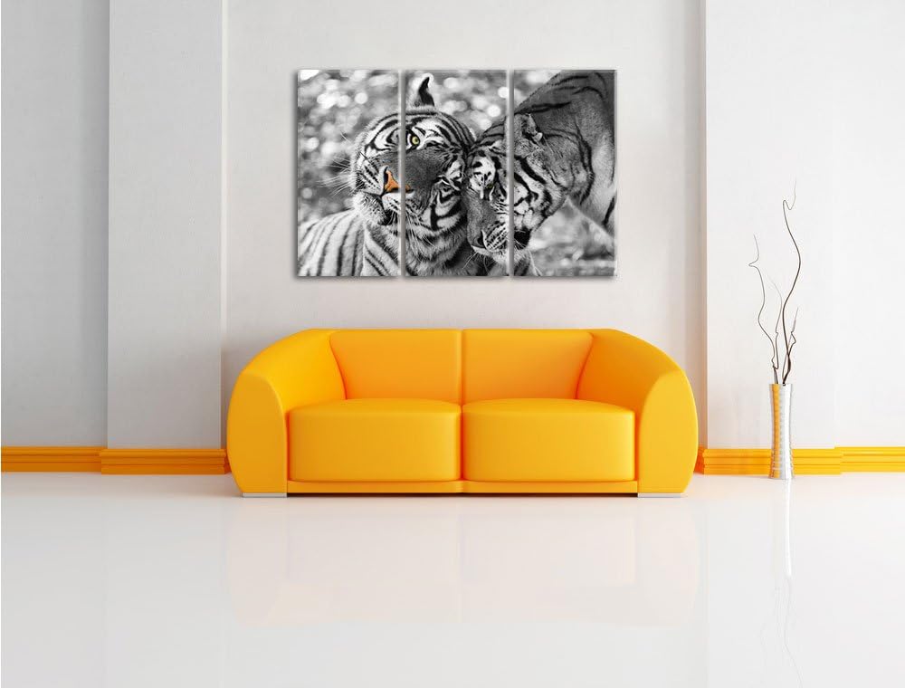 Pixxprint Zwei liebkosende Tiger als Leinwandbild/Grösse: 3 Teilig (120x80) cm/Wandbild/Kunstdruck/f