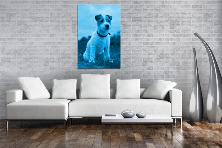 deyoli süsser Jack Russell Terrier Format 80x60 Effekt: Monocrome Blau als Leinwandbild, Motiv ferti