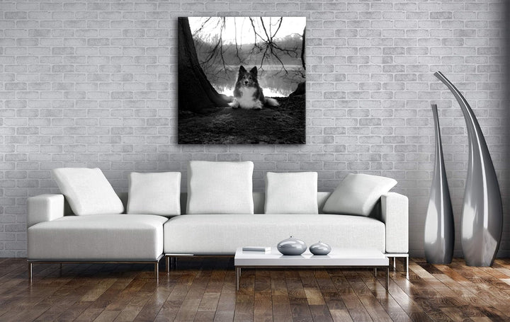 deyoli Niedlicher Hund beim Sonnenuntergang Format: 60x60 Effekt: Schwarz&Weiss als Leinwandbild, Mo