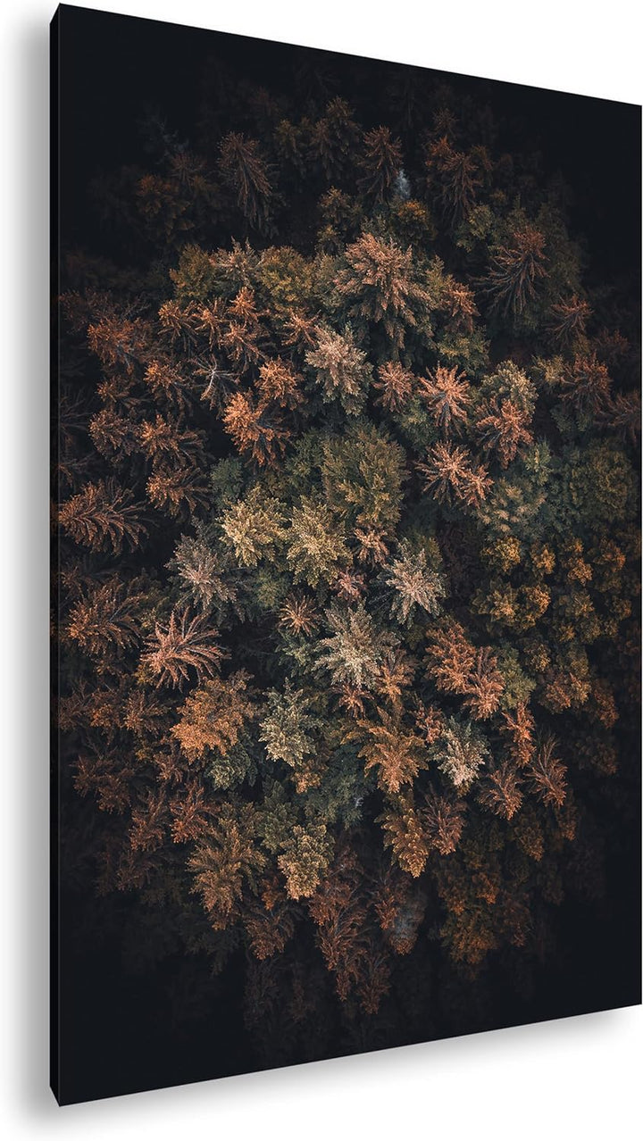 deyoli sagenhafter Wald von oben Format: 120x80 cm als Leinwandbild, Motiv fertig gerahmt auf Echtho