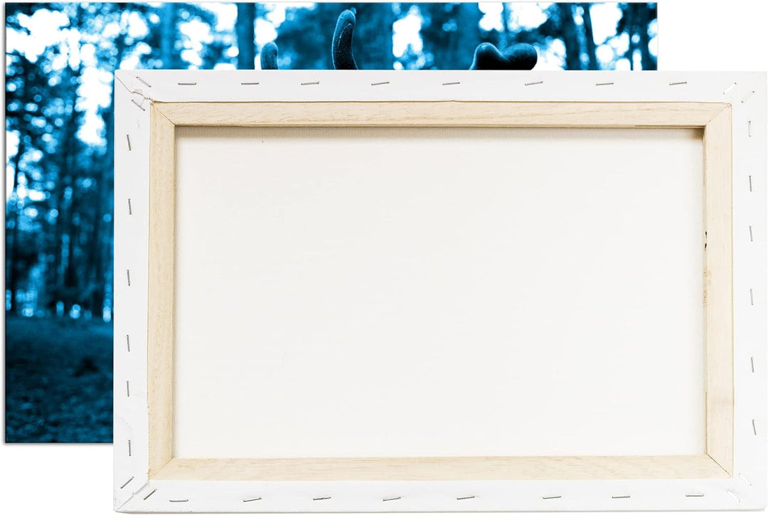 deyoli Traumhafter Hirsch Format: 80x60 Effekt: Monocrome Blau als Leinwandbild, Motiv fertig gerahm