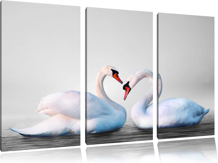 Pixxprint Zwei prächtige Schwäne auf dem Wasser B&W Detail 3-Teiler Leinwandbild 120x80 Bild auf Lei