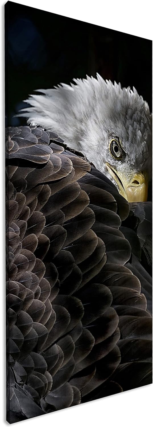 deyoli listiger Adler Panorama 60x30 cm als Leinwandbild, Motiv fertig gerahmt auf Echtholzrahmen, H