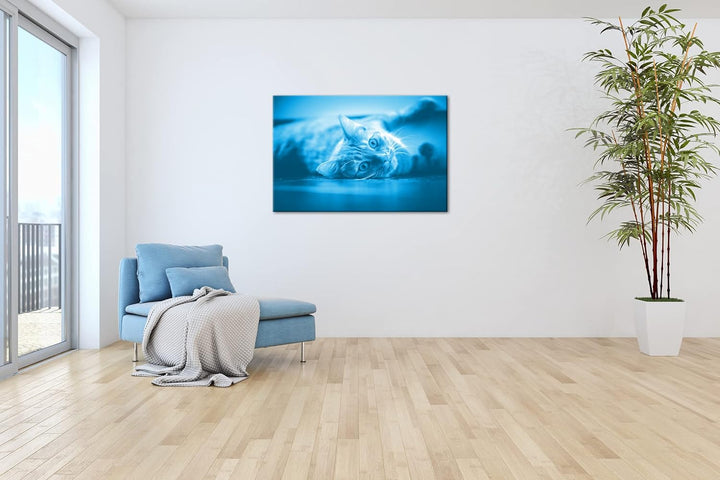 deyoli süsse verspielte Katze Format 80x60 Effekt: Monocrome Blau als Leinwandbild, Motiv fertig ger
